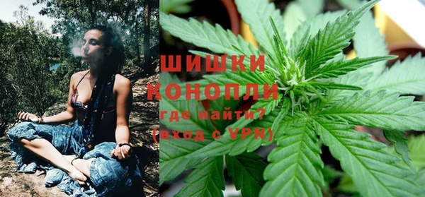 не бодяженный Белокуриха