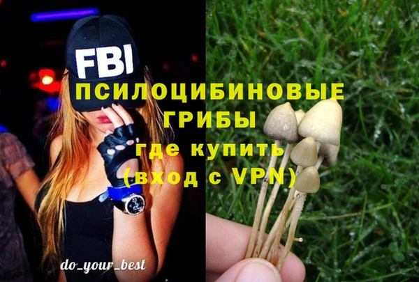 ПСИЛОЦИБИНОВЫЕ ГРИБЫ Белоозёрский