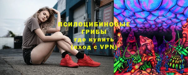 ПСИЛОЦИБИНОВЫЕ ГРИБЫ Белоозёрский